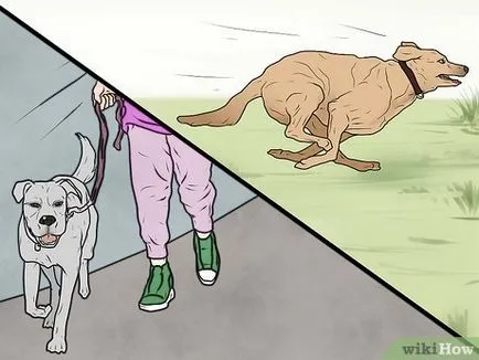 Cum de a pedepsi un câine