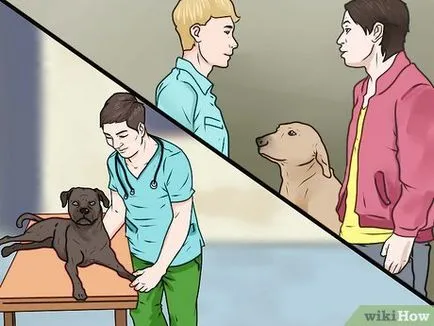 Cum de a pedepsi un câine