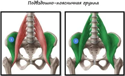 Cum de a elimina grasimea din lyashek, coapsa interioară (departe) Cum de a elimina grasimea din lyashek, coapsa interioară