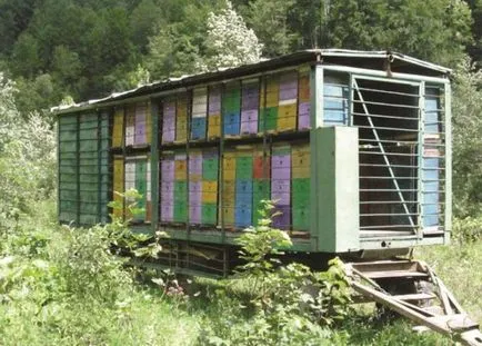 Ca propriile lor mâini pentru a construi un pavilion pentru albine