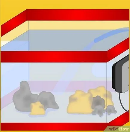 Cum de a crea un acvariu marin recif (Aquarium) Cum de a crea un acvariu recif marin