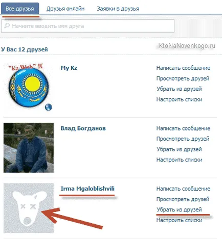 Cum se șterge o pagină în VKontakte, precum și a scăpa de pagini șterse prietenilor, crearea,