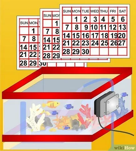 Cum de a crea un acvariu marin recif (Aquarium) Cum de a crea un acvariu recif marin