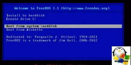 Cum se instalează pe un laptop HP FreeDOS 15-ay043ur, stabilind ferestre și servere Linux