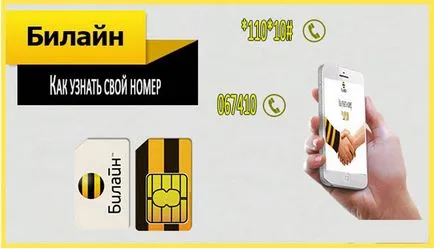 Cum știu numărul meu de telefon Beeline