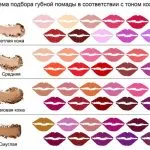 Cum de a alege un blush pentru culoarea pielii echitabil, palid, lumină, întuneric, pentru Brunete, fotografii,