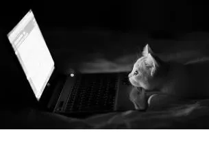 Cum pentru a opri ecranul laptop-ului