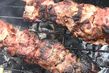Cum delicioase frigarui marinate de carne de porc - 10 dintre cele mai delicioase marinatele la carne a fost moale și