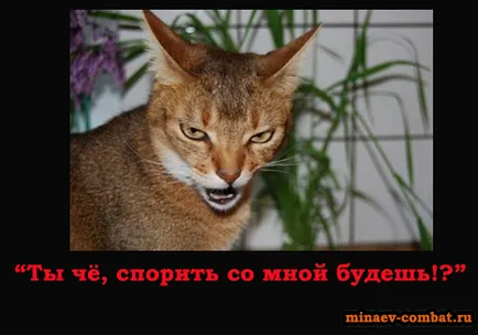 Cum de a câștiga într-un blog litigiu Andrew Minaev