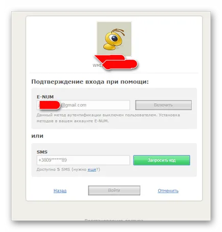 Cum de a intra în pungă WebMoney