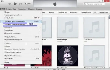 Cum să încărcați muzică prin iTunes pe iPhone și iPad (itunes) Cum să încărcați muzică prin iTunes pe iPhone și iPad