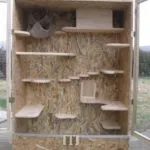 Cage pentru chinchilla cu mâinile sale (instrucțiuni pas cu pas) (sinsila) Cage pentru chinchilla cu mâinile sale (instrucțiuni pas cu pas)