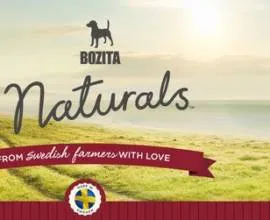 Poreclele pentru pisici băieți, nume amuzant, amuzant (amuzant) Poreclele pentru pisici băieți, nume haioase, amuzante