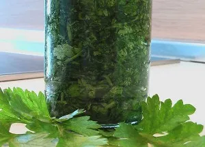 utilizarea și deteriorarea sănătății cilantro la corpul de femei și bărbați (rău) beneficii și daune cilantro pentru sănătatea femeilor și a bărbaților ale corpului