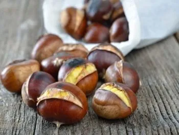 Chestnut beneficii și rău, cum să gătească, păstrând proprietățile utile, contraindicații (beneficii castani de fructe și a efectelor nocive) Chestnut beneficii și rău, cum să gătească, păstrând proprietățile utile, contraindicații