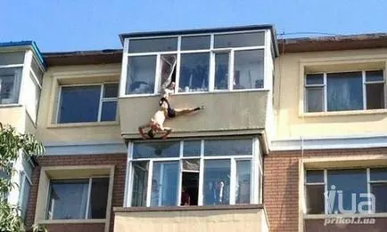 Imagini, în fiecare zi noi poze haioase