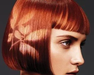 Tipuri de reclame Hair- tehnici de colorare si pictura ale capului