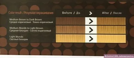 Crema pentru par cu richenna henna (nuanta albire blond) - comentarii, fotografii și preț (Henna) Crema pentru par cu richenna henna (nuanta albire blond) - comentarii, fotografii și preț