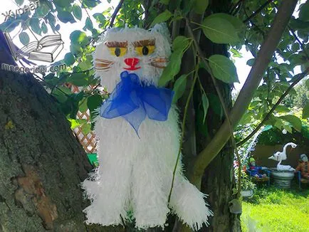 Coasta din sticle de plastic și pachete master-class