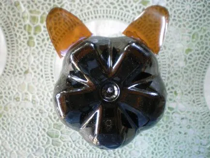 Cat de p class plastic