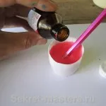 Lizun la domiciliu