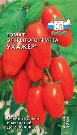 Cele mai bune soiuri de tomate descriere și fotografie, fermă acasă (descriere) Cele mai bune soiuri de tomate descriere și fotografie, fermă acasă