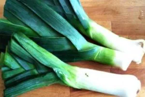 Prazul - plantare de puieți din semințe