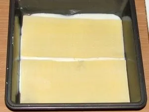 Lasagna cu pui și ciuperci