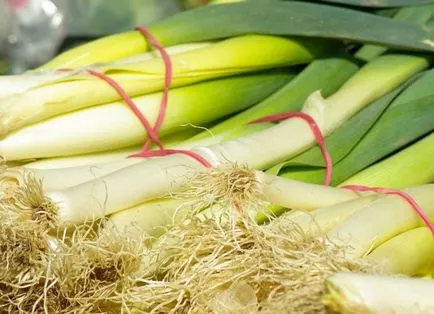 Leek - cultivare și întreținere, de plantare, în special