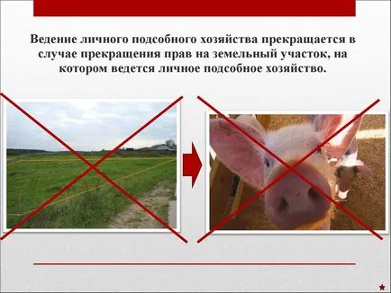 LPH care este, cum de a decora, ceea ce este diferența cu locurile de muncă calde, mai ales în ținuturile așezări