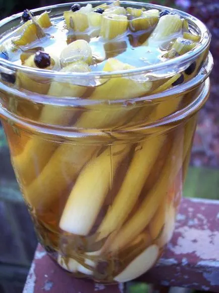 ceapa decapat salată rețete special gătit (gătit) salată de ceapă murate special pentru gătit, rețete