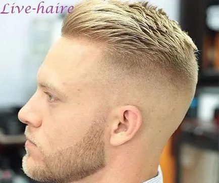 Perierea poluboks exemple foto, caracteristici, video (haircut) Perierea poluboks exemple foto, caracteristici, video