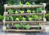 Efectuarea gradina de legume cu propriile sale mâini (lor) Efectuarea gradina de legume cu propriile sale mâini