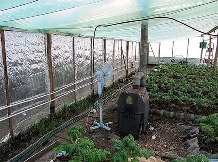 sere de încălzire cu propriile mâini - 4 variante ale instrucțiunilor! (Lor) sere de încălzire cu propriile mâini - 4 variante ale instrucțiunilor!