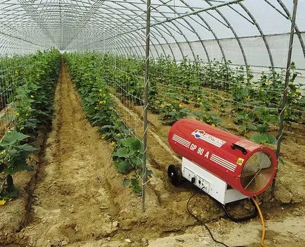 sere de încălzire cu propriile mâini - 4 variante ale instrucțiunilor! (Sere) sere de încălzire cu propriile mâini - 4 variante ale instrucțiunilor!