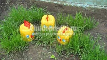 Articole din sticle pentru gradina