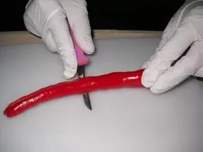 Tomate pentru limba Teschin de iarnă (Teschin) Tomate pentru limba Teschin de iarnă