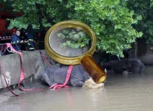Zoo Praga - cum se ajunge acolo, orele de deschidere, prețul biletelor