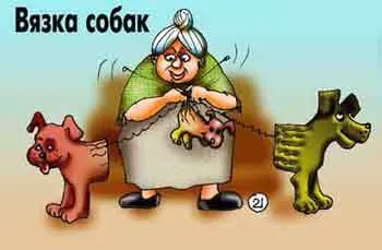 Reguli tricotate câine într-o zi de estru câine unită și ce să facă proprietarului
