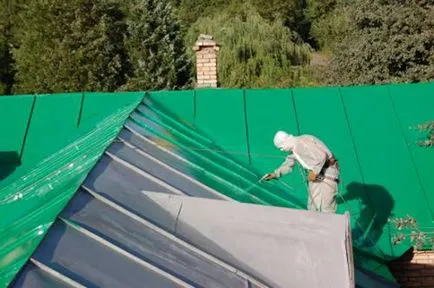 Pictura acoperiș cu mâinile ce și cum să picteze, instrucțiuni video, fotografii