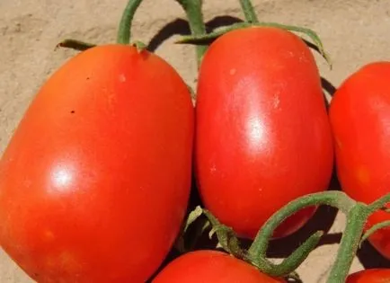 Tomate Rio Grande (25 poze) tomate, originale, descriere, calitate, reale (fotografii) Tomate Rio Grande (25 poze) tomate, descrierea originală a soiului, comentarii