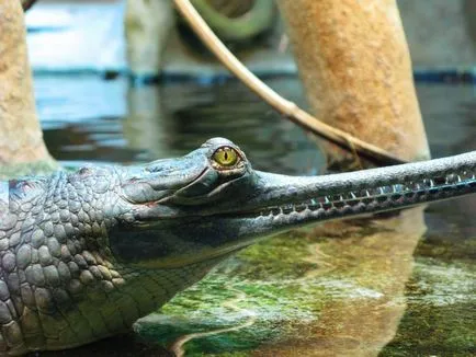 Zoo Praga