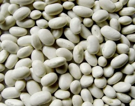 fasole de plantare, grădină cresc! (Cronologie aterizare Bean) fasole de plantare, grădină cresc!