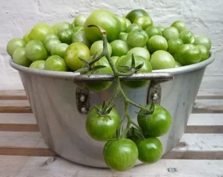 Tomate pentru limba Teschin de iarnă (e) Tomate pentru limba Teschin de iarnă