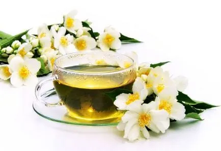jasmine Plant proprietăți și contraindicațiile utile - utilizarea jasmine