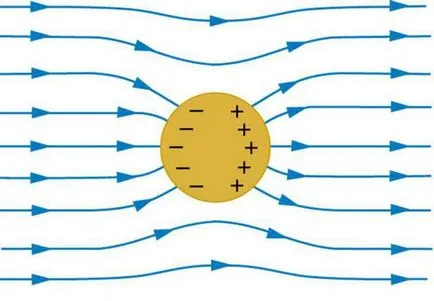 Conductorul într-un câmp electrostatic
