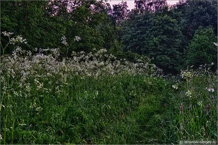 natura rusă 1
