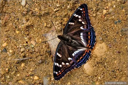 natura rusă 1