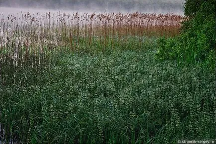 natura rusă 1