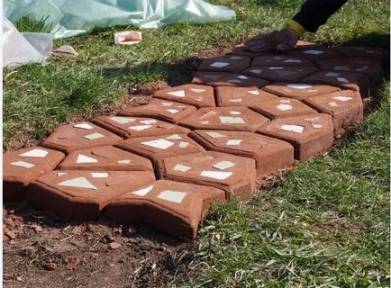 Cărări de grădină cu mâinile lor de la o formă gelificat, zonă suburbană (proiectare pista) Cărări de grădină cu mâinile lor de la o formă gelificat, zonă suburbană